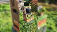 Modder buduje wspaniałą obudowę komputera z motywem ogrodowym z prawdziwego drewna
