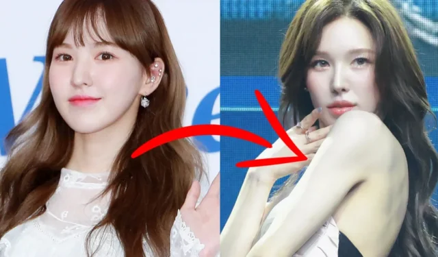 Visuels de Red Velvet Wendy avant VS maintenant : lesquels préfèrent K-Netz ?