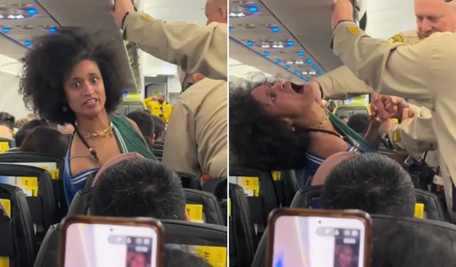 Une femme arrêtée suite à une panique virale sur un vol Spirit Airlines