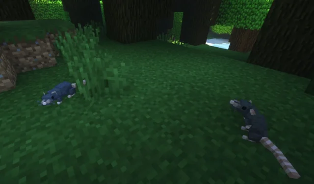 Complete Guide to Minecraft Rats Mod: Features, Installation Steps, and Gameplay Tips