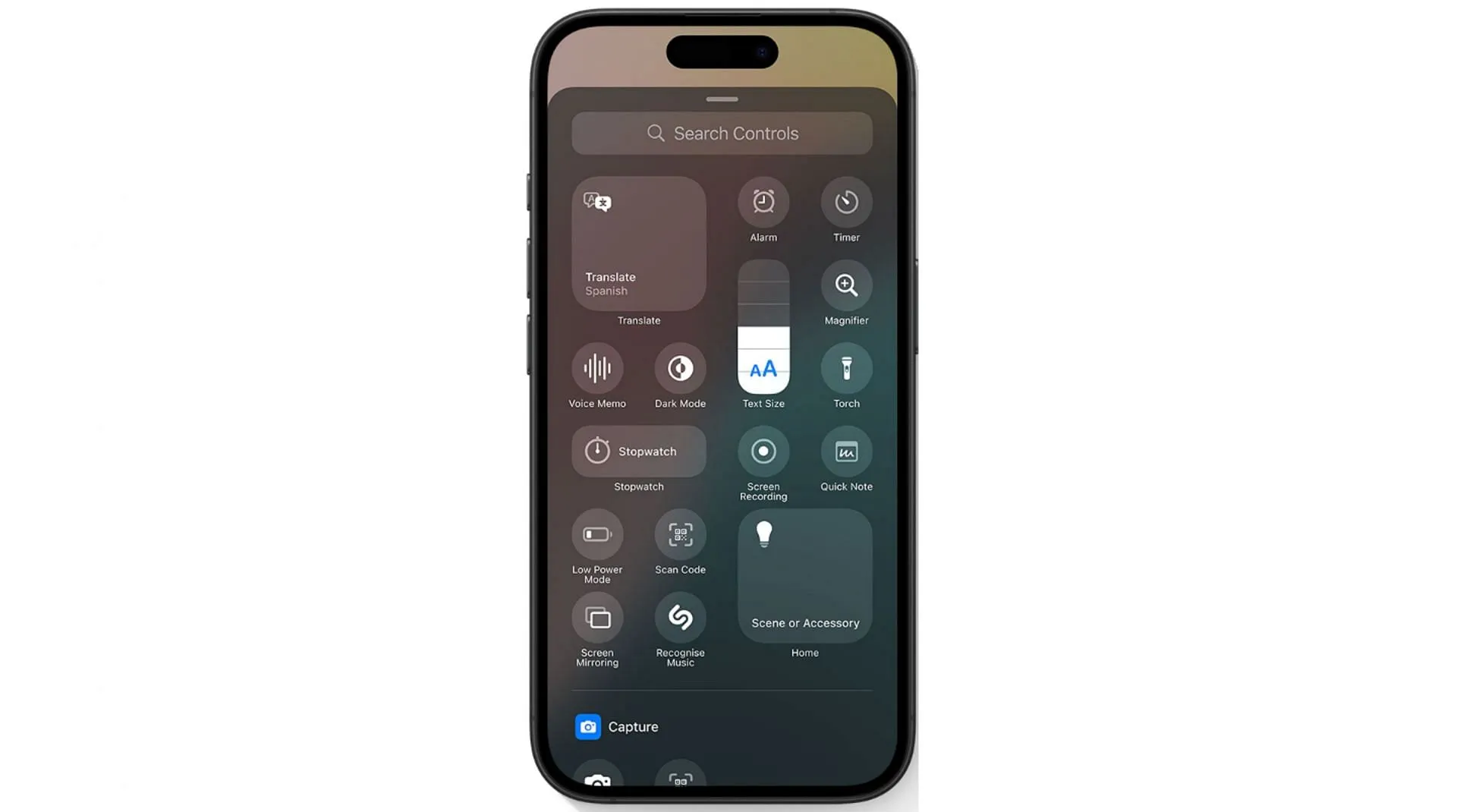 Personalización del Panel de Control (Imagen vía Apple)