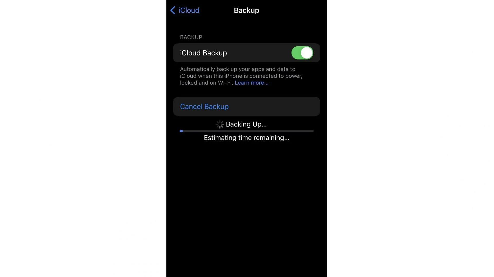 Backup über iCloud auf dem iPhone (Bild über Apple)