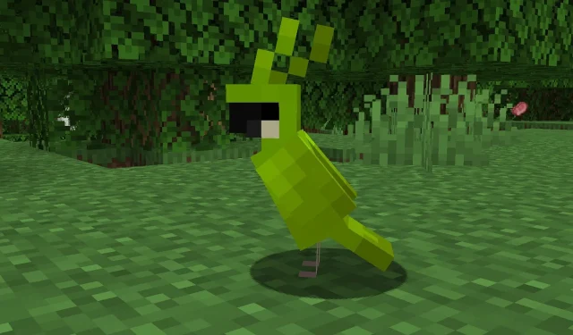 Enhancing Overworld Ambiance: The Case for More Bird Species in Minecraft