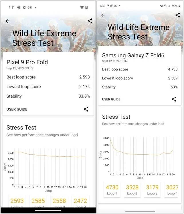 Pixel 9 Pro XL gegen Samsung Galaxy Z Fold 6 Wildlife Extreme