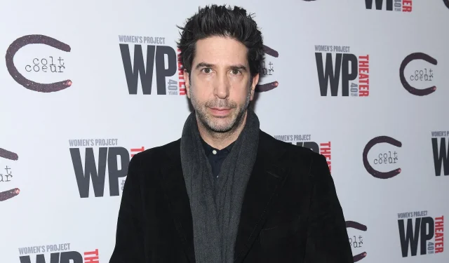 David Schwimmer répond aux éloges de Matthew Perry pour sa comédie physique avant son décès