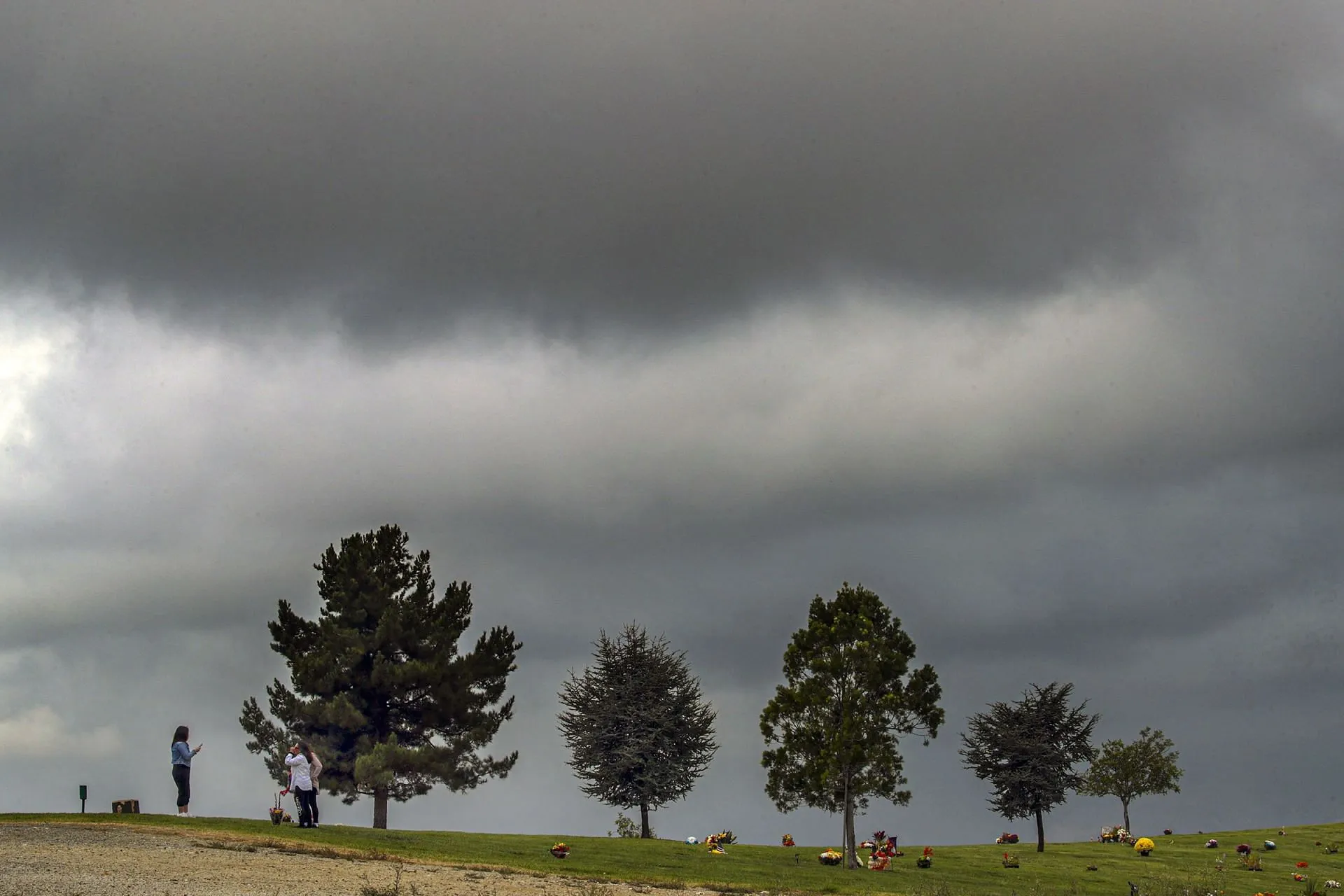 Les restes de Disney sont dispersés dans le parc commémoratif Forest Lawn (Image via Getty)