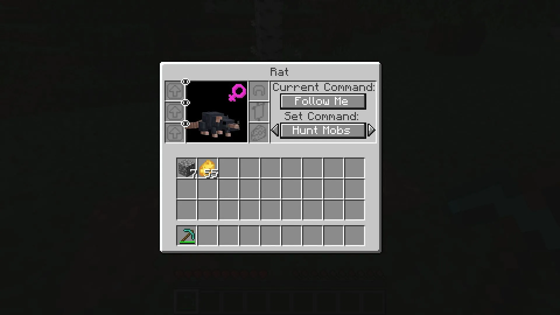 A tamed rat's personal UI in the Rats mod (Image via Mojang/Alexthe666)