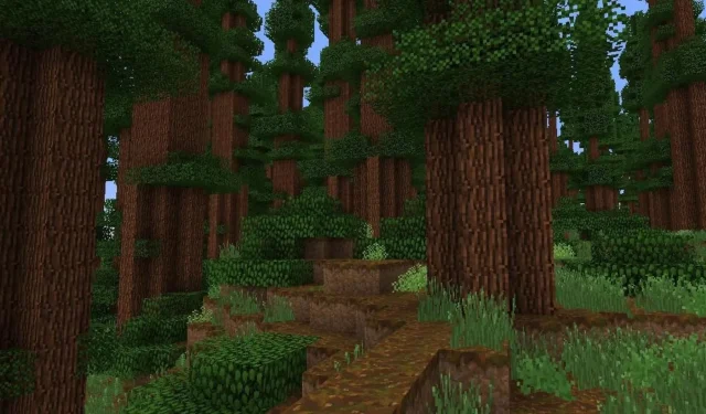 Minecraft Players Share Desired New Biomes for Future Updates