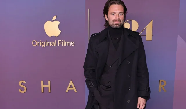 Sebastian Stan parle de sa position protectrice envers les films Marvel et de la facilité avec laquelle il est critiqué