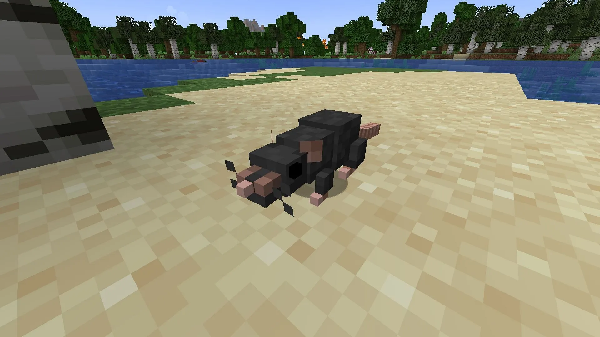 Rats mod 中的一隻標準老鼠（圖片來自 Mojang/Alexthe666）