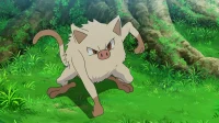 “Everything You Need to Know for 2024”: Reactions from Pokemon GO Players on Mankey Community Day Announcement