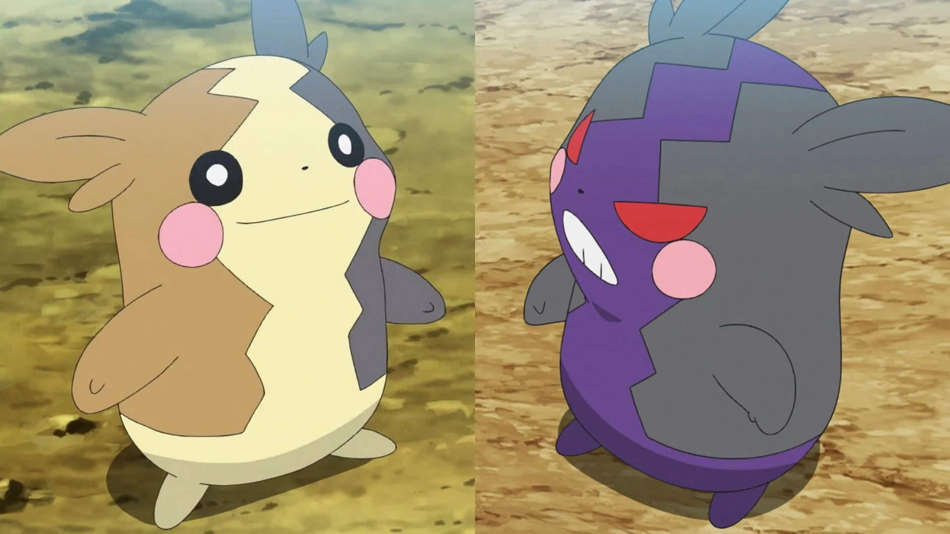 Les deux formes de Morpeko dans l'anime (Image via TPC)