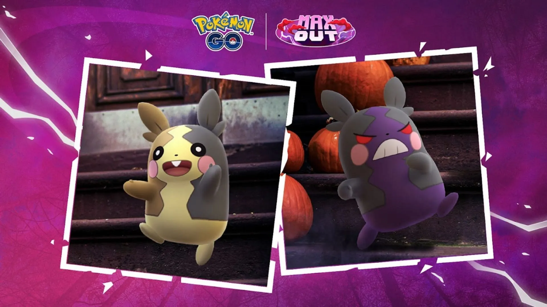 El debut de Morpeko en Pokémon GO durante Halloween 2024 (Imagen vía TPC)