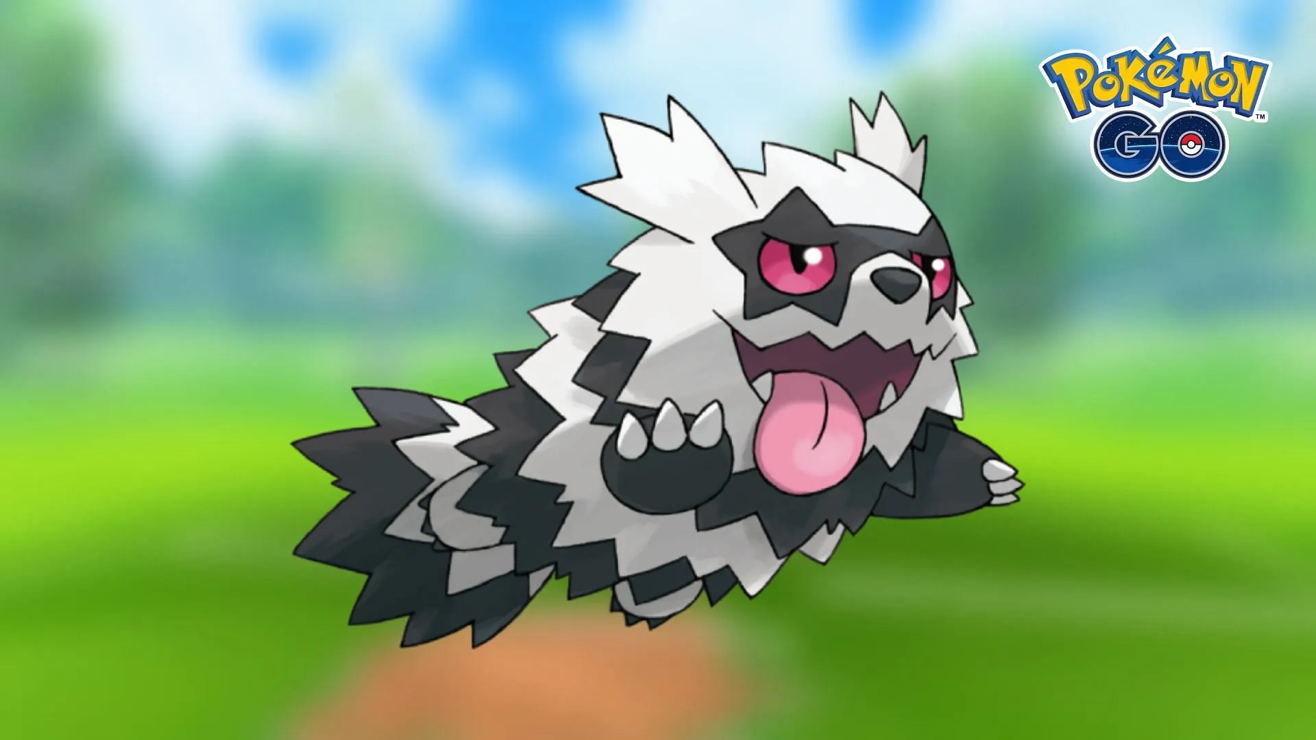 Zigzagoon de Galar es una excelente opción para cambiar en la edición pequeña de la Copa de Halloween (imagen a través de TPC)