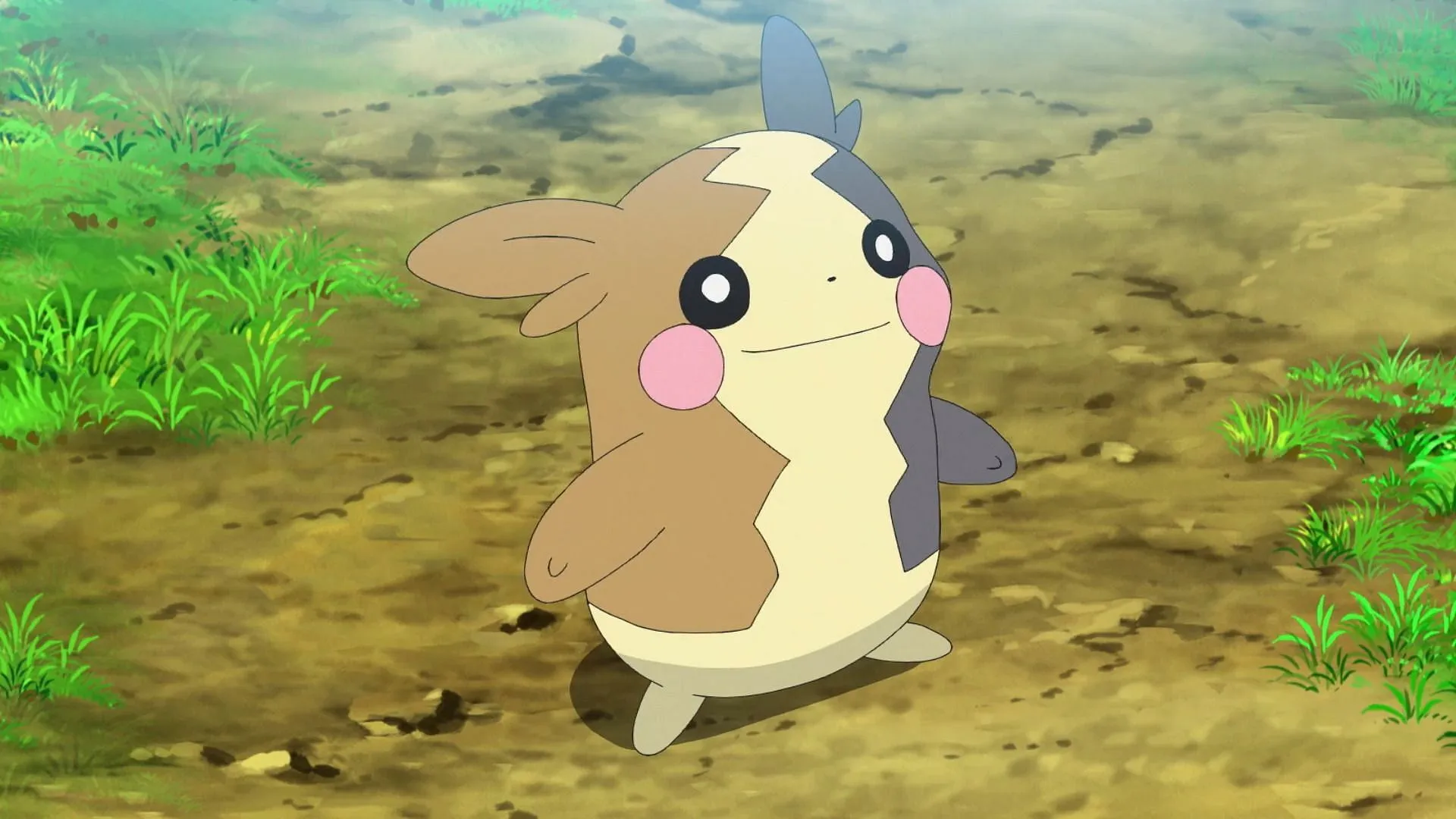 Morpeko tiene una amplia gama de opciones de cobertura (Imagen a través de The Pokemon Company)