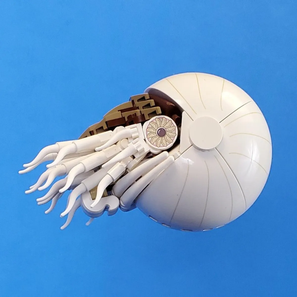 Ein individuelles LEGO Nautilus-Modell