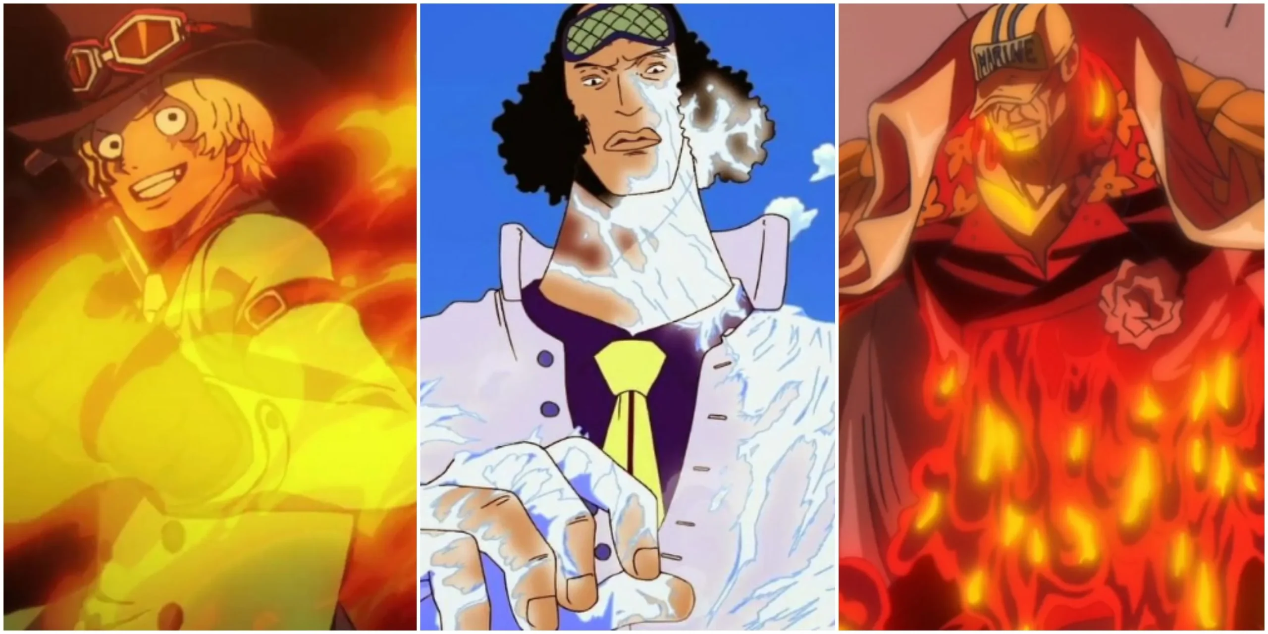 Usuarios de la fruta del diablo Logia: Sabo, Kuzan, Akainu