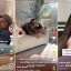 TikTok mostra como é fácil para os homens fazerem café: ‘As pequenas coisas importam’ nos relacionamentos