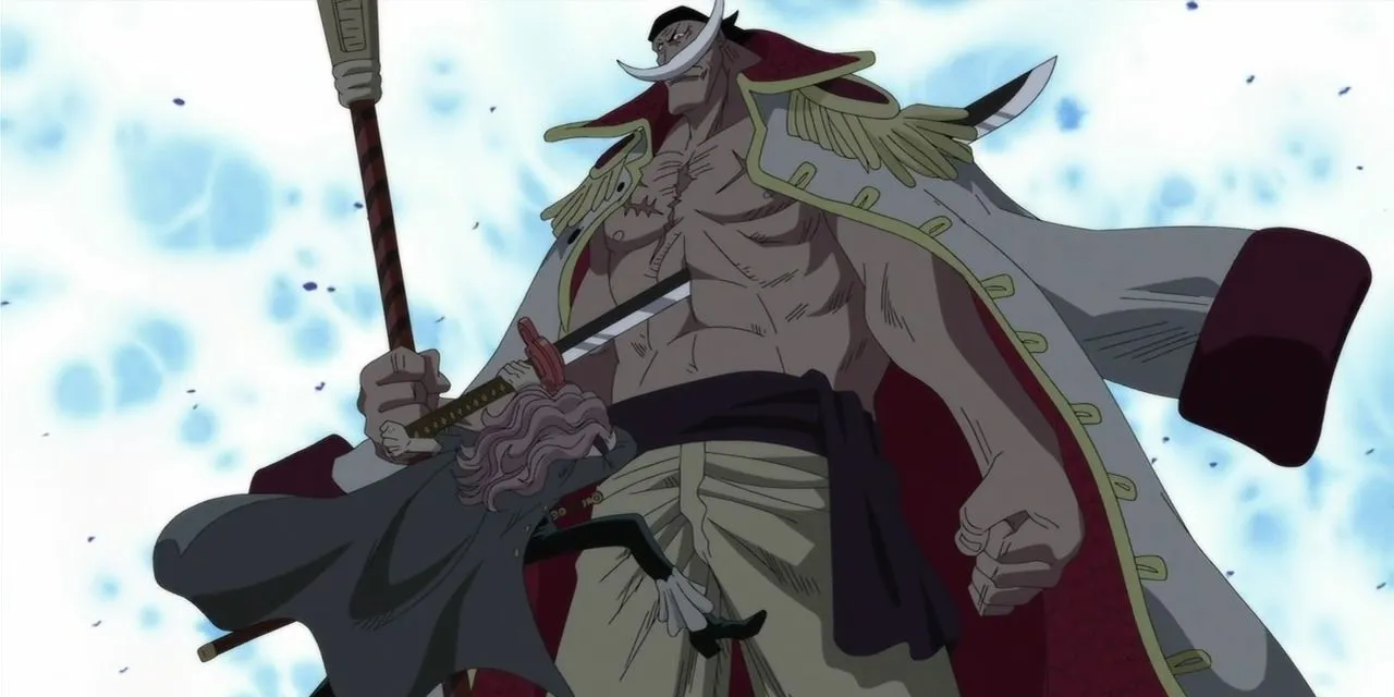 Whitebeard von Squard erstochen