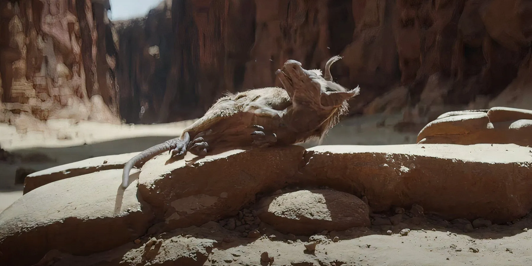 Un Womprat dans le canyon du mendiant sur Tatooine