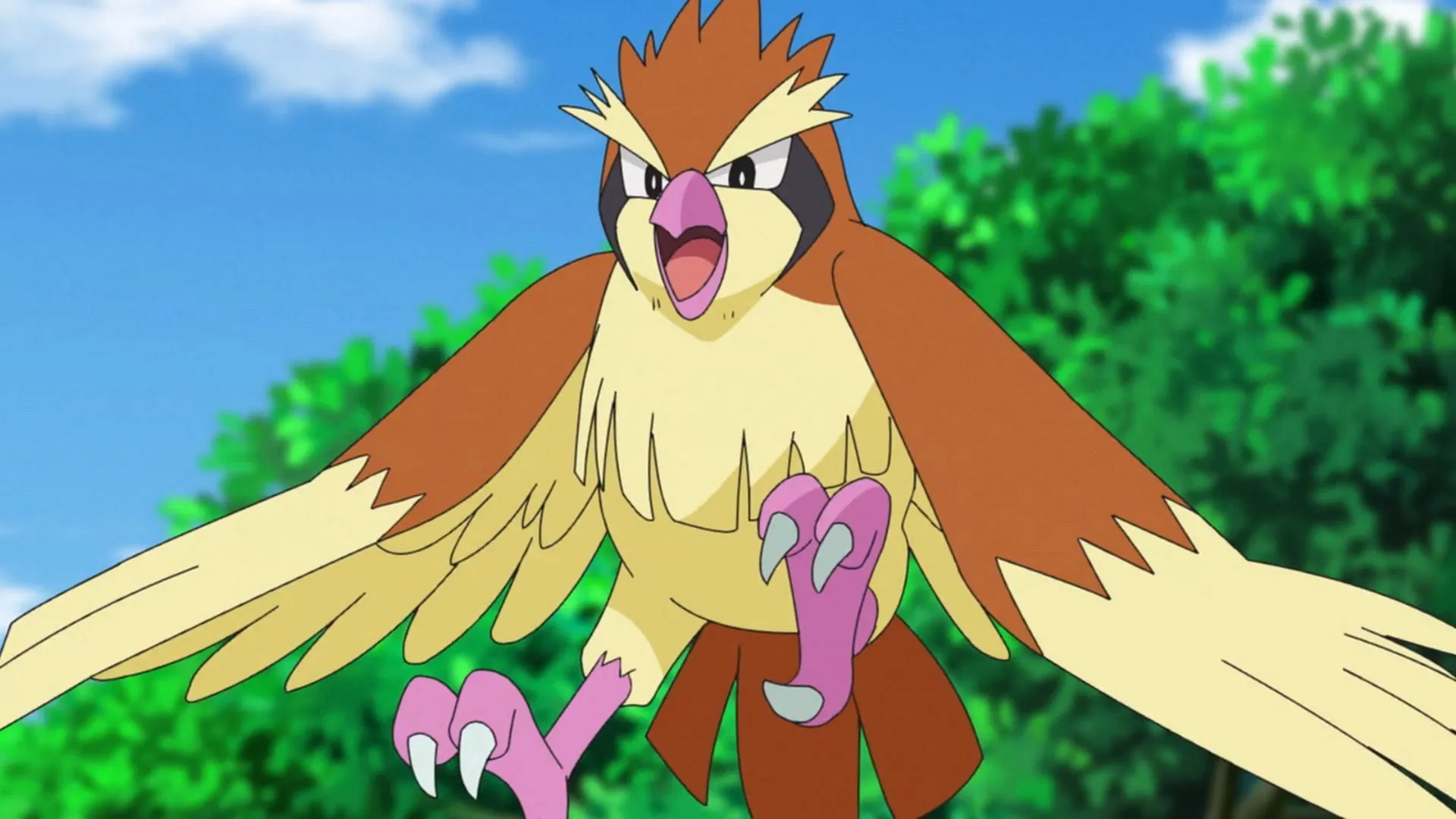 Zahlreiche Karten bleiben im aktuellen Format des Spiels ungenutzt und dienen in erster Linie als Weiterentwicklungen zu stärkeren Pokémon (Bild über The Pokemon Company)