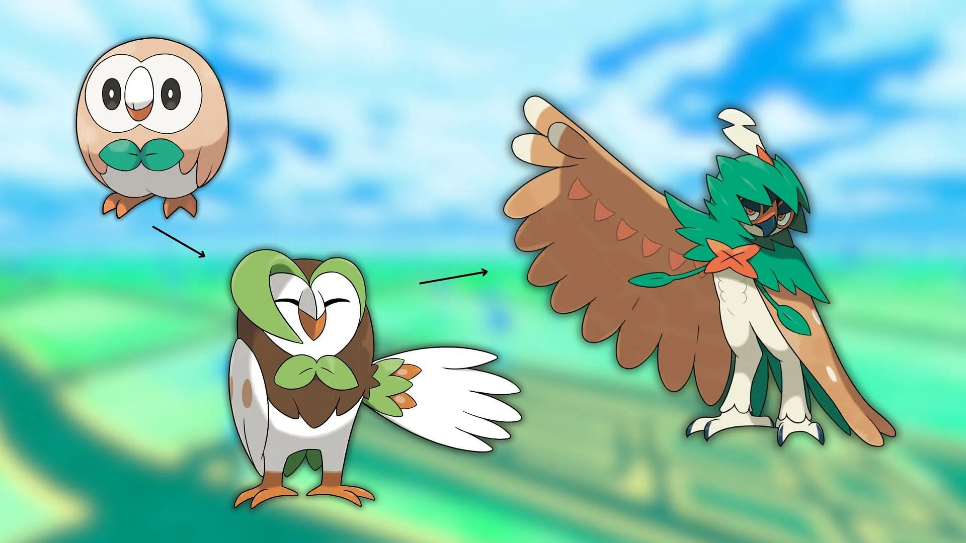 Rowlet's evolution line (Image via The Pokemon Company)