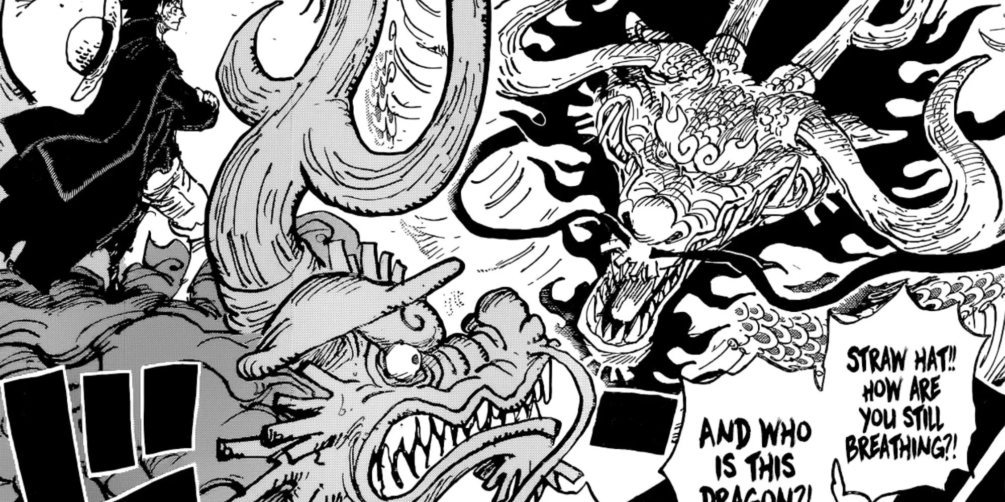 The confrontation between Dragon Kaido and Luffy on Dragon Momonosuke.