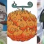 Explorer les défis des fruits du démon de Logia dans One Piece