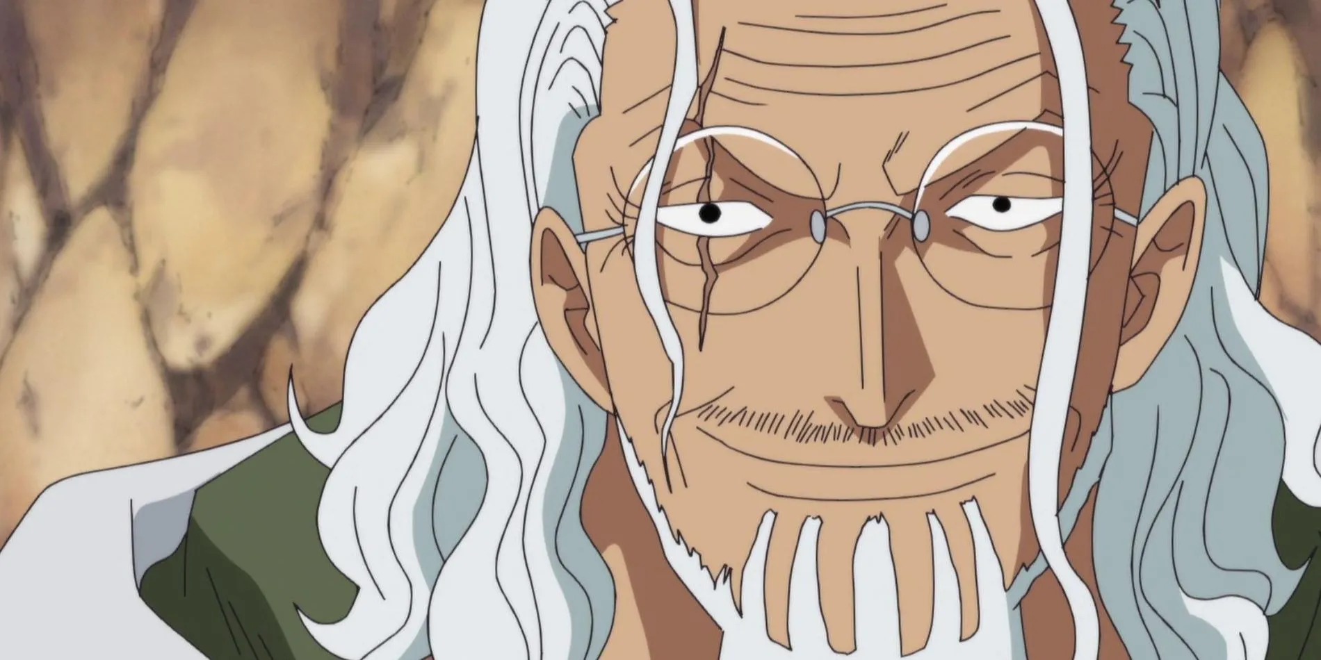 Silvers Rayleigh from One Piece