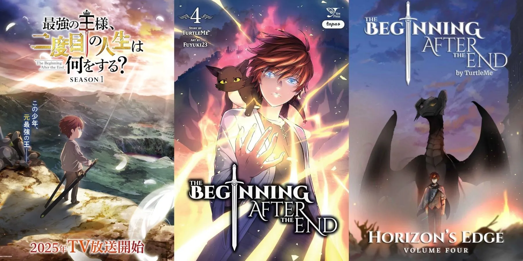 Der Anfang nach dem Ende Anime vs. Manhwa vs. Light Novel