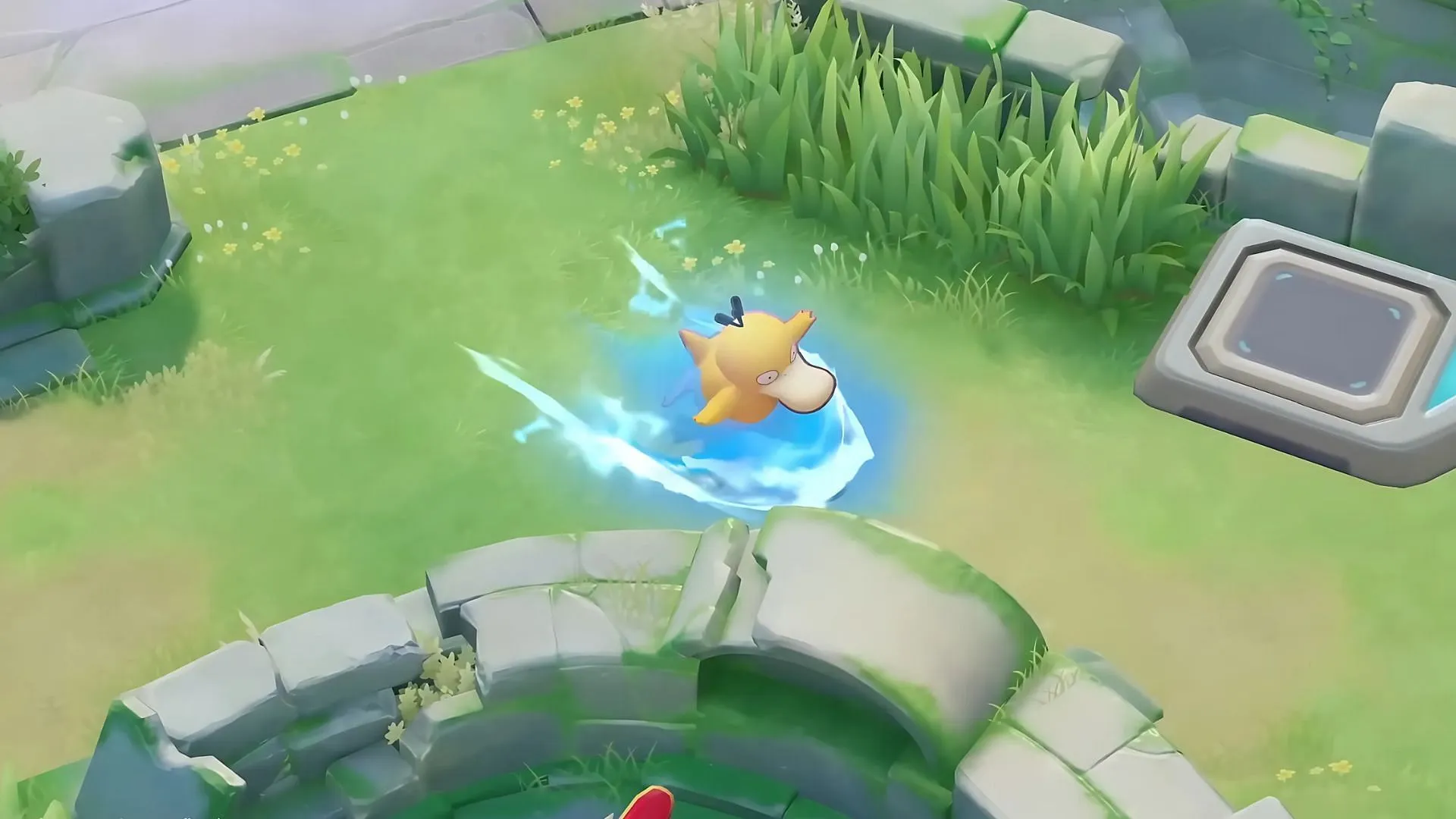 Psyduck using surf as seen in official previews