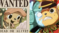 One Piece : Les raisons de la faible prime de Chopper expliquées