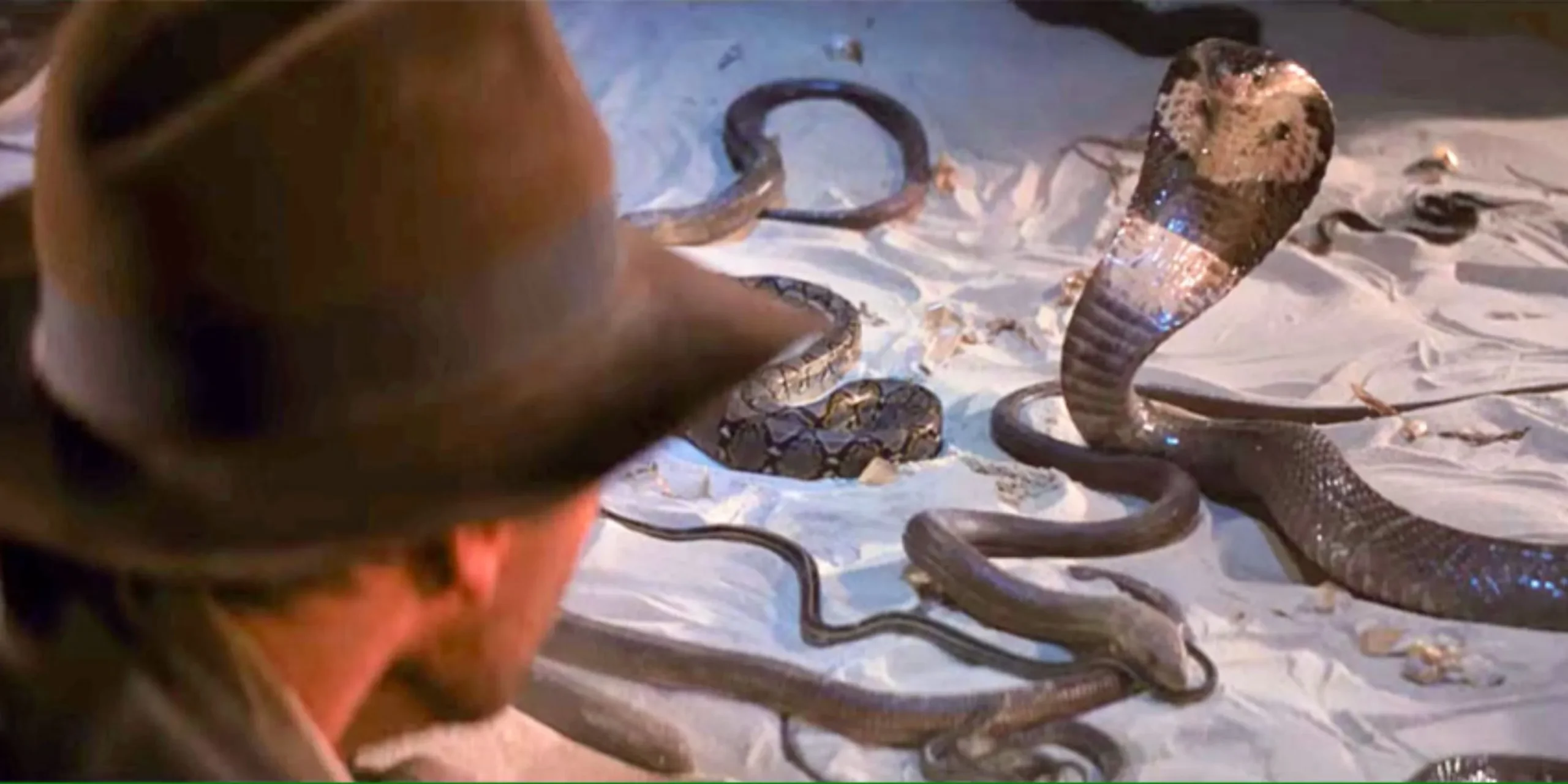 Indiana Jones confrontando cobras