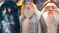 La série Harry Potter aurait choisi son personnage Dumbledore