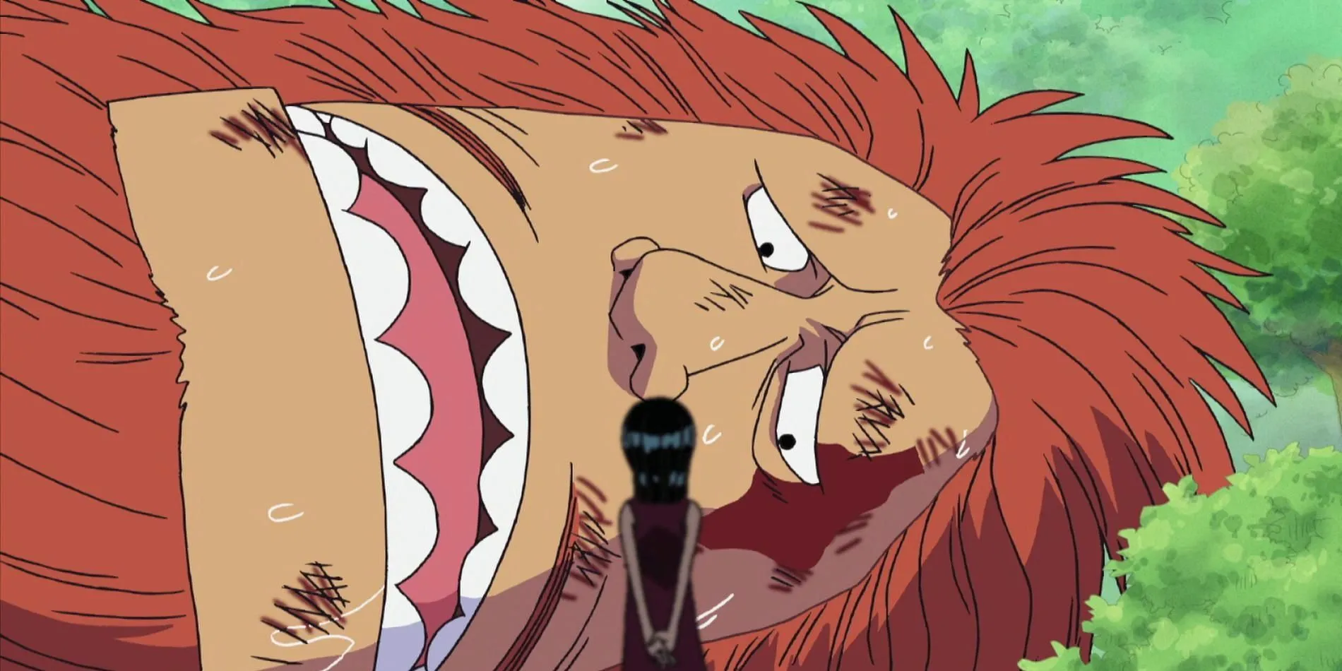 Jaguar D Saul aus One Piece 1132