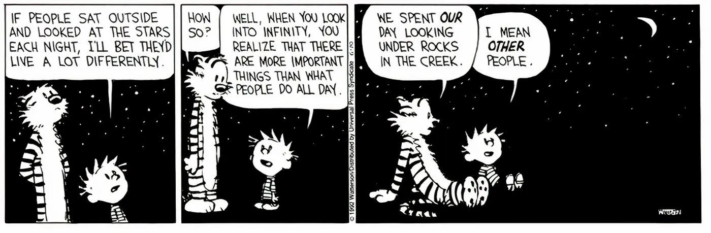 Calvin and Hobbes looking up at the night sky.