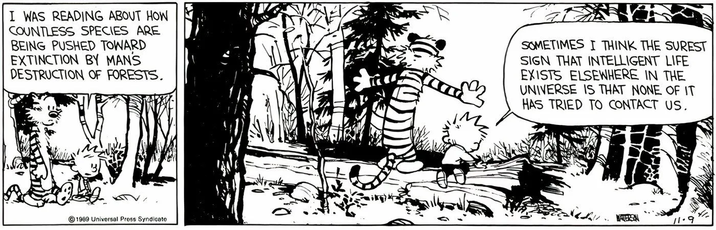 Calvin and Hobbes walking through the woods.