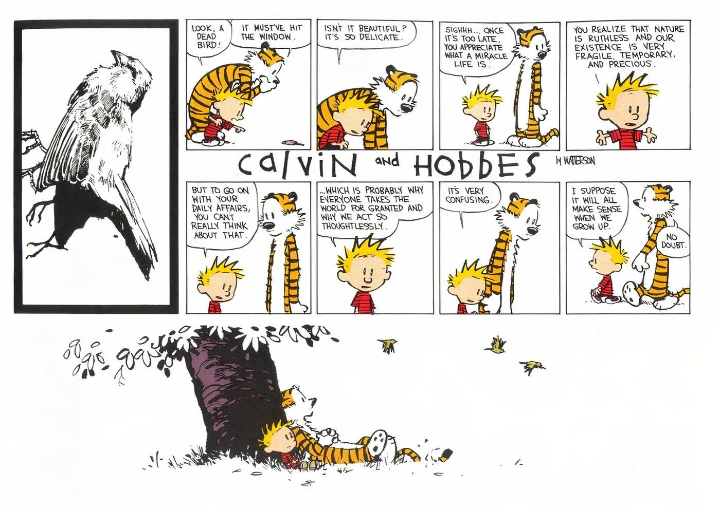 Calvin and Hobbes contemplating life after seeing a dead bird.