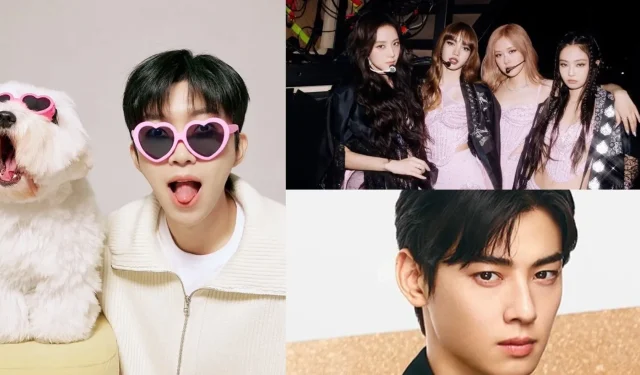 Top 15 K-pop Idols Leading Advertisement Model Rankings in December 2024