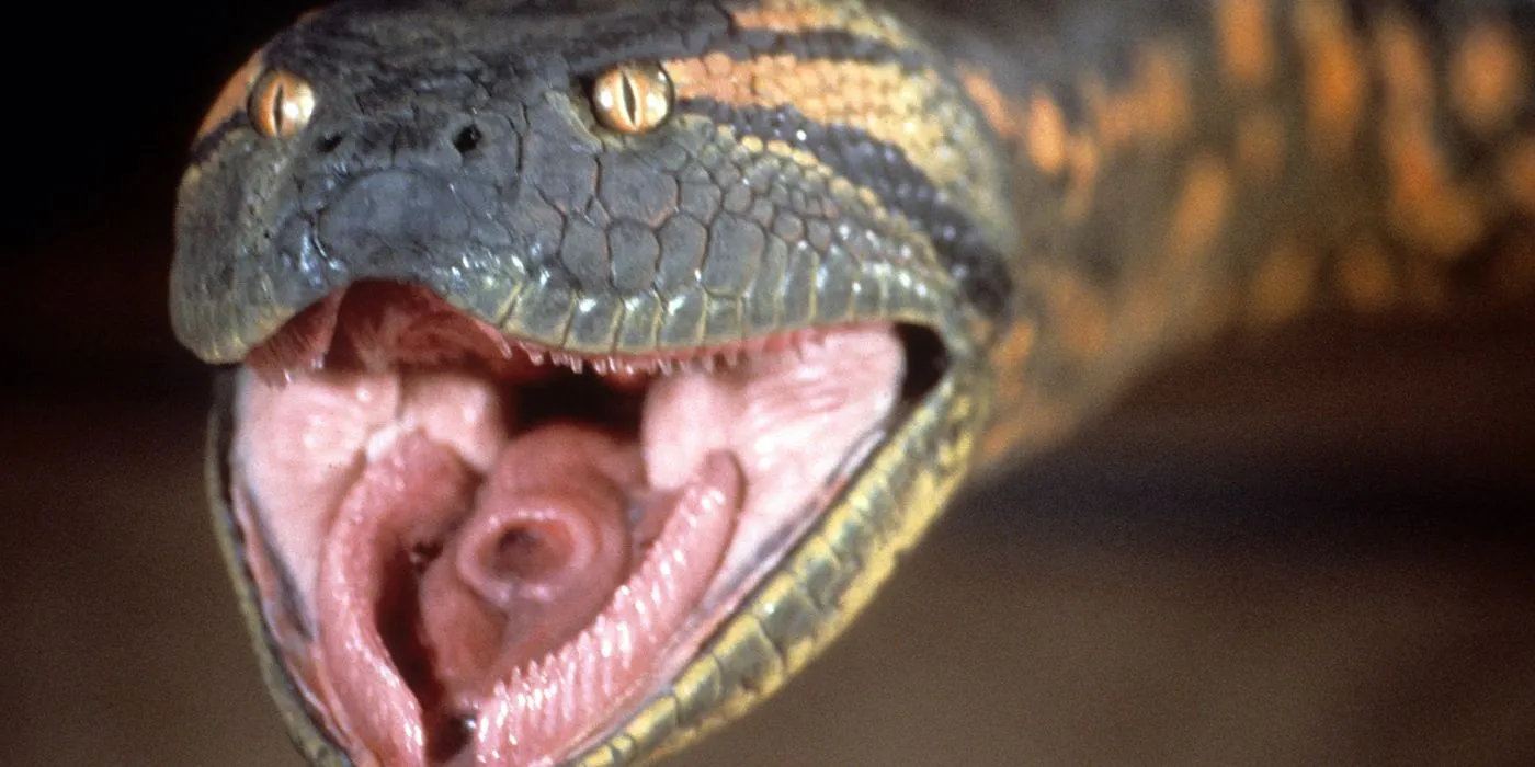 La serpiente se lanza hacia adelante en Anaconda