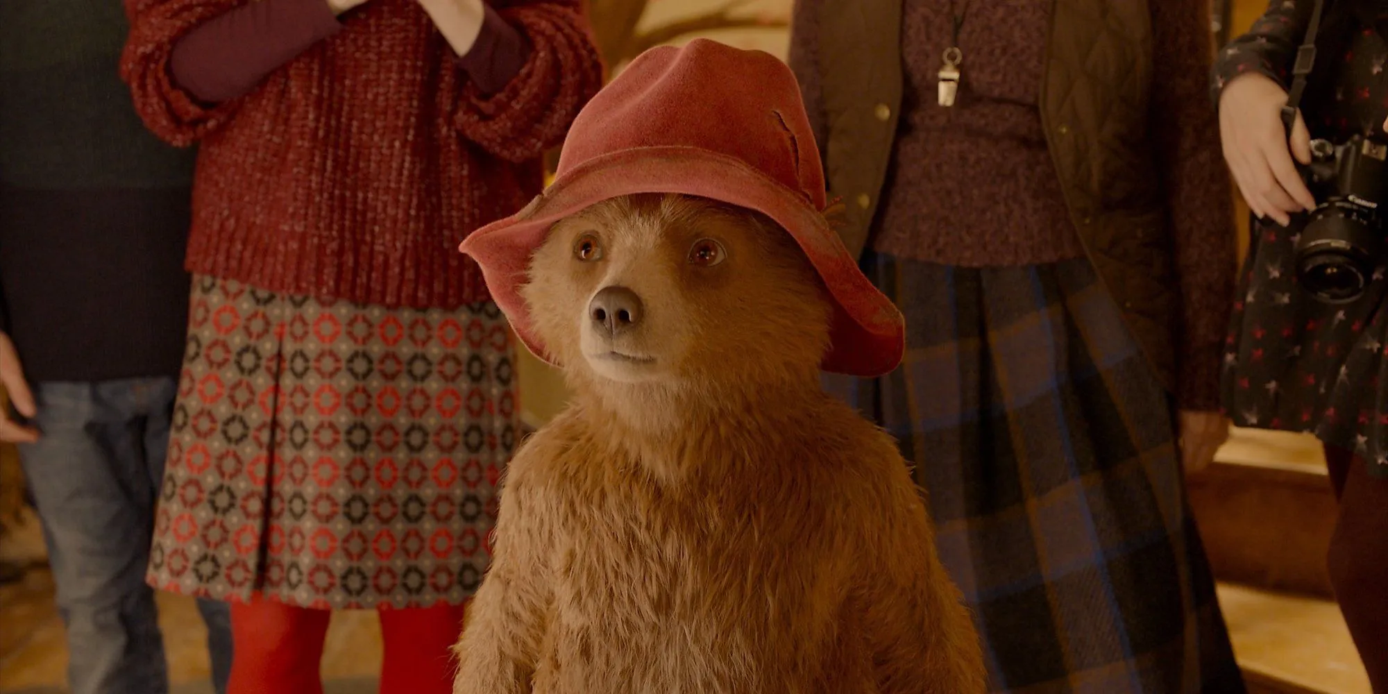 Paddington portant son chapeau rouge dans le film de 2014