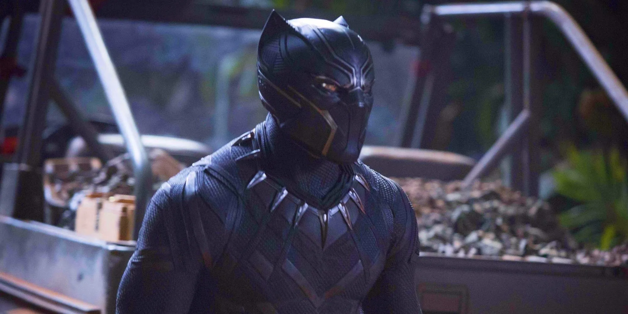 T'Challa als Black Panther