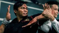 15 filmes de artes marciais modernas imperdíveis com 100% (ou quase) de avaliações no Rotten Tomatoes