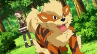 Winning Strategies: Arcanine Build for the Pokémon TCG Pocket Emblem Event