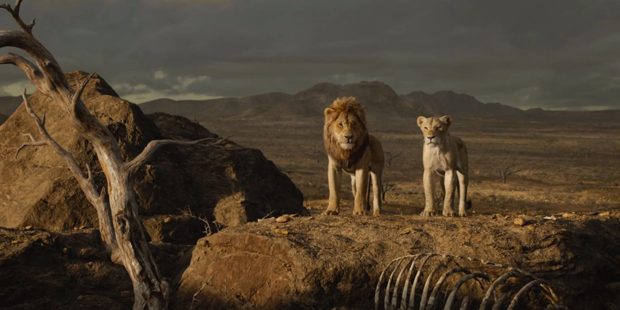 Simba und Nala kehren in „Der König der Löwen“ (2019) ins Geweihte Land zurück