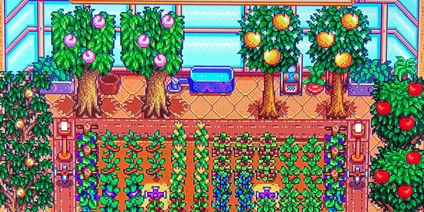 Szklarnia Stardew Valley