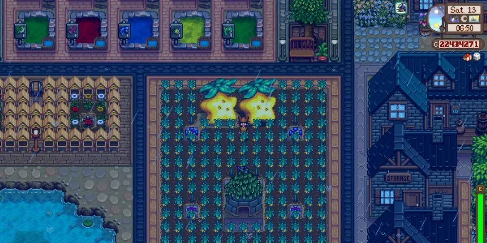 Farma Starfruit Valley Stardew