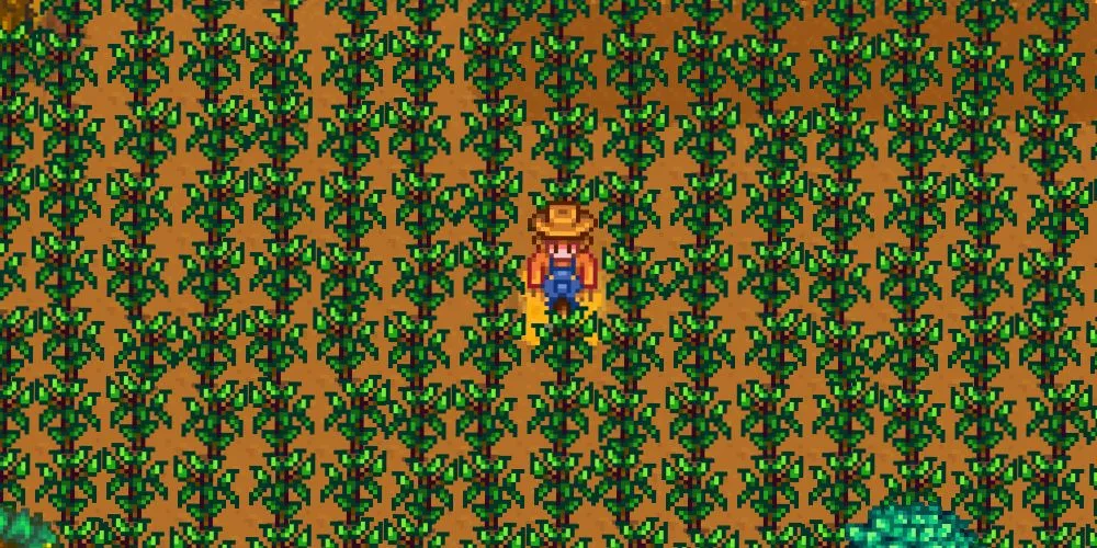 Uprawy borówek w Stardew Valley