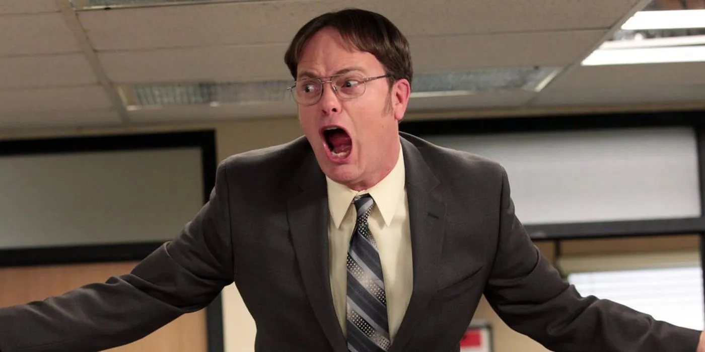 Rainn Wilson als Dwight Schrute The Office