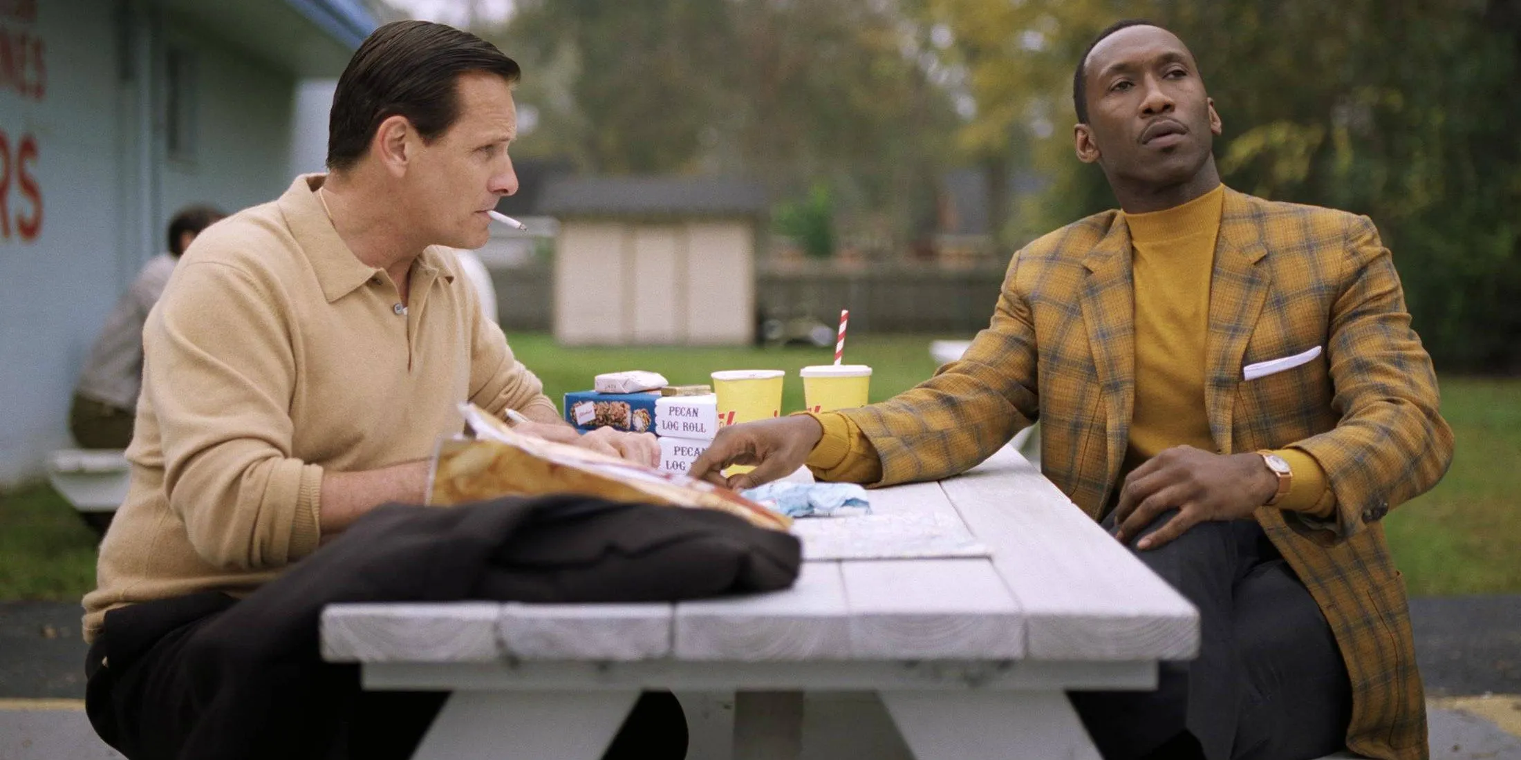 Mahershala Ali nel libro verde